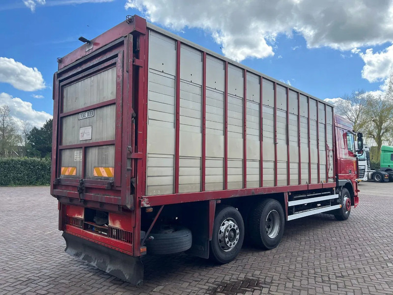 DAF XF FAR 95XF.380 EURO 2 - Djurtransport lastbil: bild 4 DAF XF FAR 95XF.380 EURO 2 - Djurtransport lastbil: bild 4
