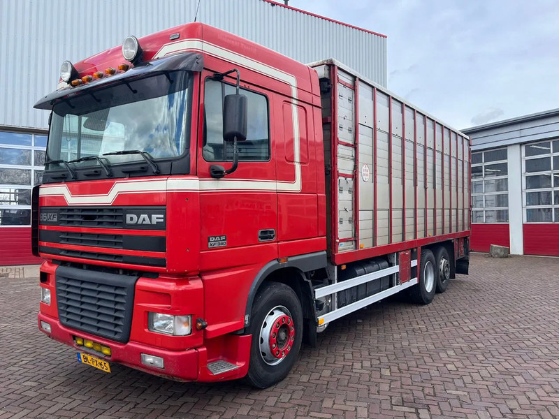 DAF XF FAR 95XF.380 EURO 2 - Djurtransport lastbil: bild 1 DAF XF FAR 95XF.380 EURO 2 - Djurtransport lastbil: bild 1