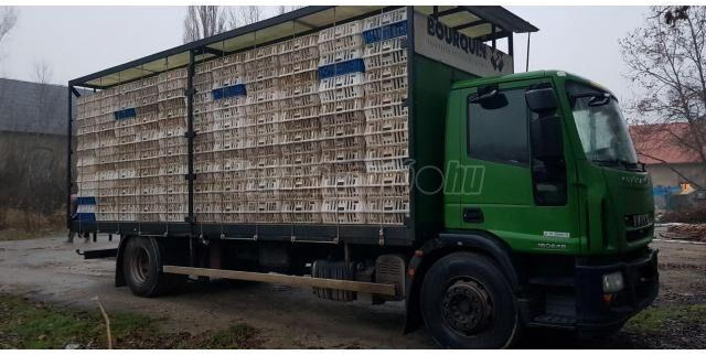 Iveco Eurocargo 180E28 - Djurtransport lastbil: bild 2 Iveco Eurocargo 180E28 - Djurtransport lastbil: bild 2