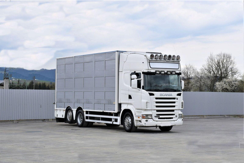 Scania R 500 - Djurtransport lastbil: bild 2 Scania R 500 - Djurtransport lastbil: bild 2