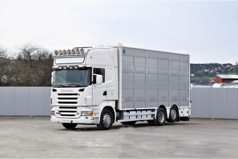 Scania R 500 - Djurtransport lastbil: bild 1 Scania R 500 - Djurtransport lastbil: bild 1