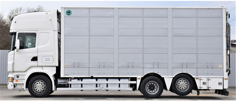 Scania R 500 - Djurtransport lastbil: bild 3 Scania R 500 - Djurtransport lastbil: bild 3
