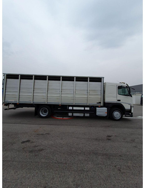 Volvo FM 500 Viehtransporter ( Rind / beef ) - Djurtransport lastbil: bild 4 Volvo FM 500 Viehtransporter ( Rind / beef ) - Djurtransport lastbil: bild 4