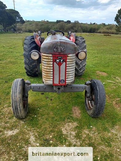 MASSEY FERGUSON 65 | 4 cylinder diesel | disc brakes - Traktor: bild 2 MASSEY FERGUSON 65 | 4 cylinder diesel | disc brakes - Traktor: bild 2