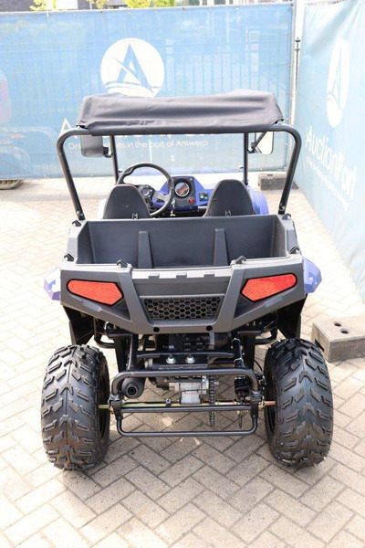 Wextrem UTV-ATV 200Pro - Golfbil: bild 4 Wextrem UTV-ATV 200Pro - Golfbil: bild 4