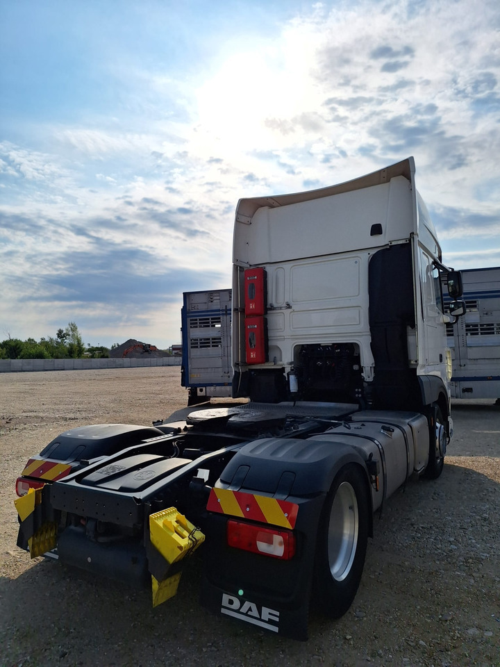 DAF XF 480 - Dragbil: bild 5 DAF XF 480 - Dragbil: bild 5