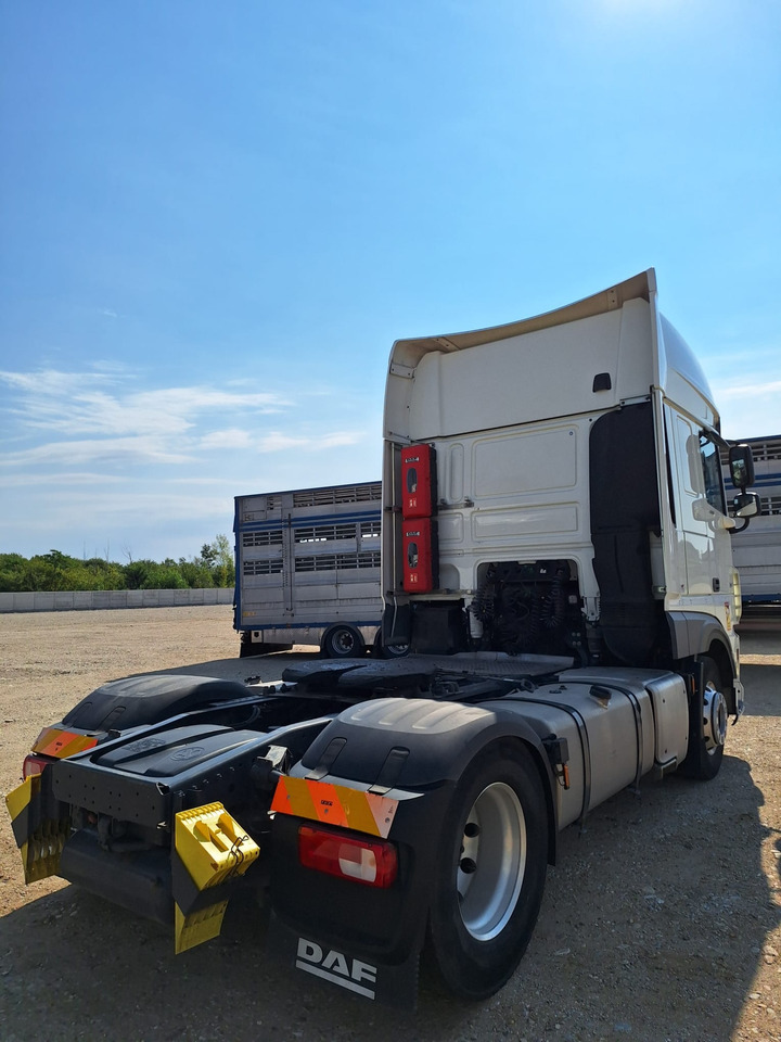 DAF XF 480 - Dragbil: bild 5 DAF XF 480 - Dragbil: bild 5